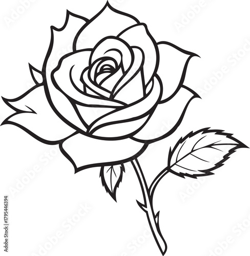 Botanical study — single rose with thorns and detailed foliage