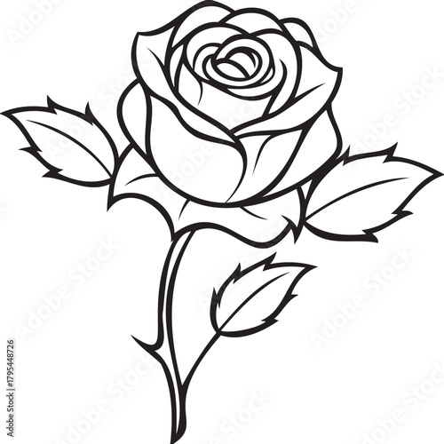 Single rose with thorns and vintage toning, floral editorial aesthetic