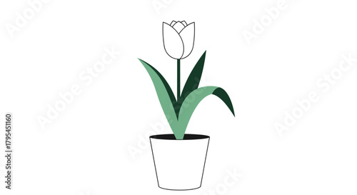 A simple line drawing of a single white tulip with green leaves and stem growing in a white pot.