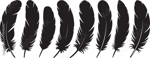 Eight black feather silhouettes are arranged horizontally on the white background, displaying delicate details