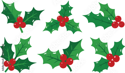 Collection of holly leaves vector illustrations with berries for holiday greetings. Christmas festive ornament in green and red colors. Winter botanical elements