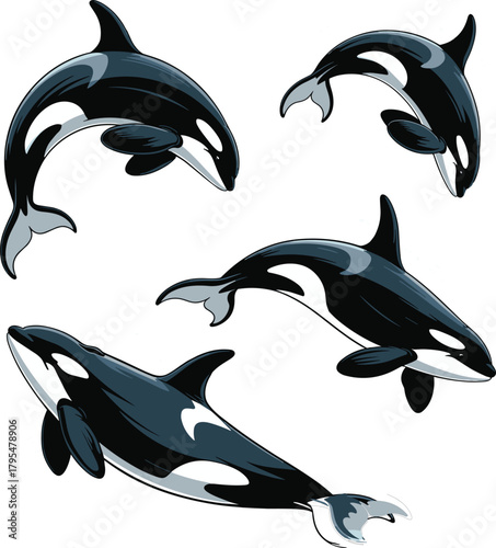 Dynamic orcas gracefully leaping and swimming with sleek black and white markings creating an underwater ballet of motion and power
