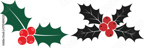 Holly berry vector illustration of leaves and berries for christmas time decorations and christmas card decoration isolated on transparent background