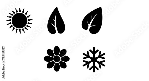 Sun, Leaf, Flower, Snowflake Black and White Icons