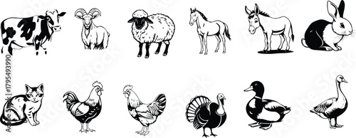 Assortment of farm animals including cow, sheep, horse, donkey, rabbit, cat, chicken, turkey, duck, and goose on transparent background