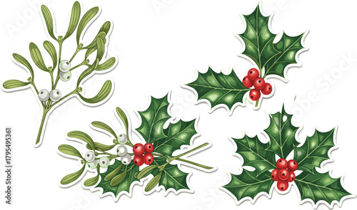 Christmas holly and mistletoe branches with red and white berries, festive winter plants, traditional holiday decorations, botanical illustration design, seasonal greenery.
