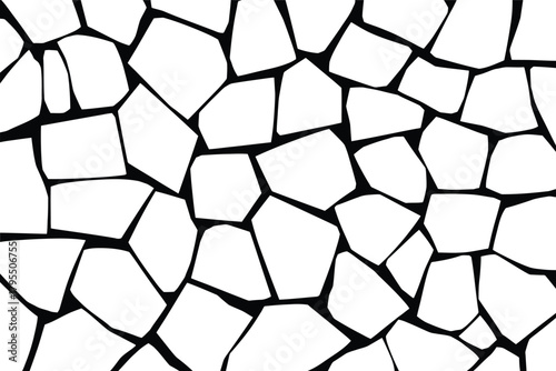 Abstract geometric pattern of irregular white polygons with thick black outlines