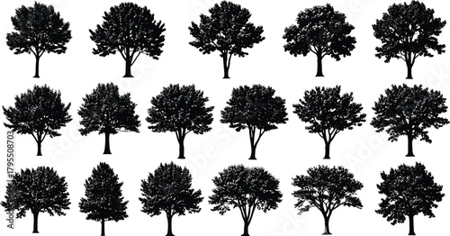 Deciduous tree silhouettes collection, black illustration, botanical diversity, foliage texture, landscape design element, artistic reference, nature shapes, tree forms