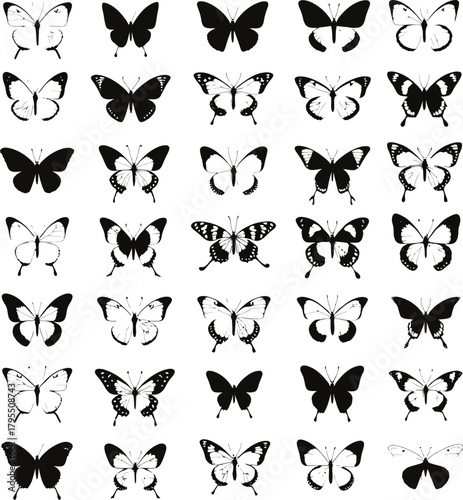 Elegant black and white butterfly pattern design for wallpaper or fabric