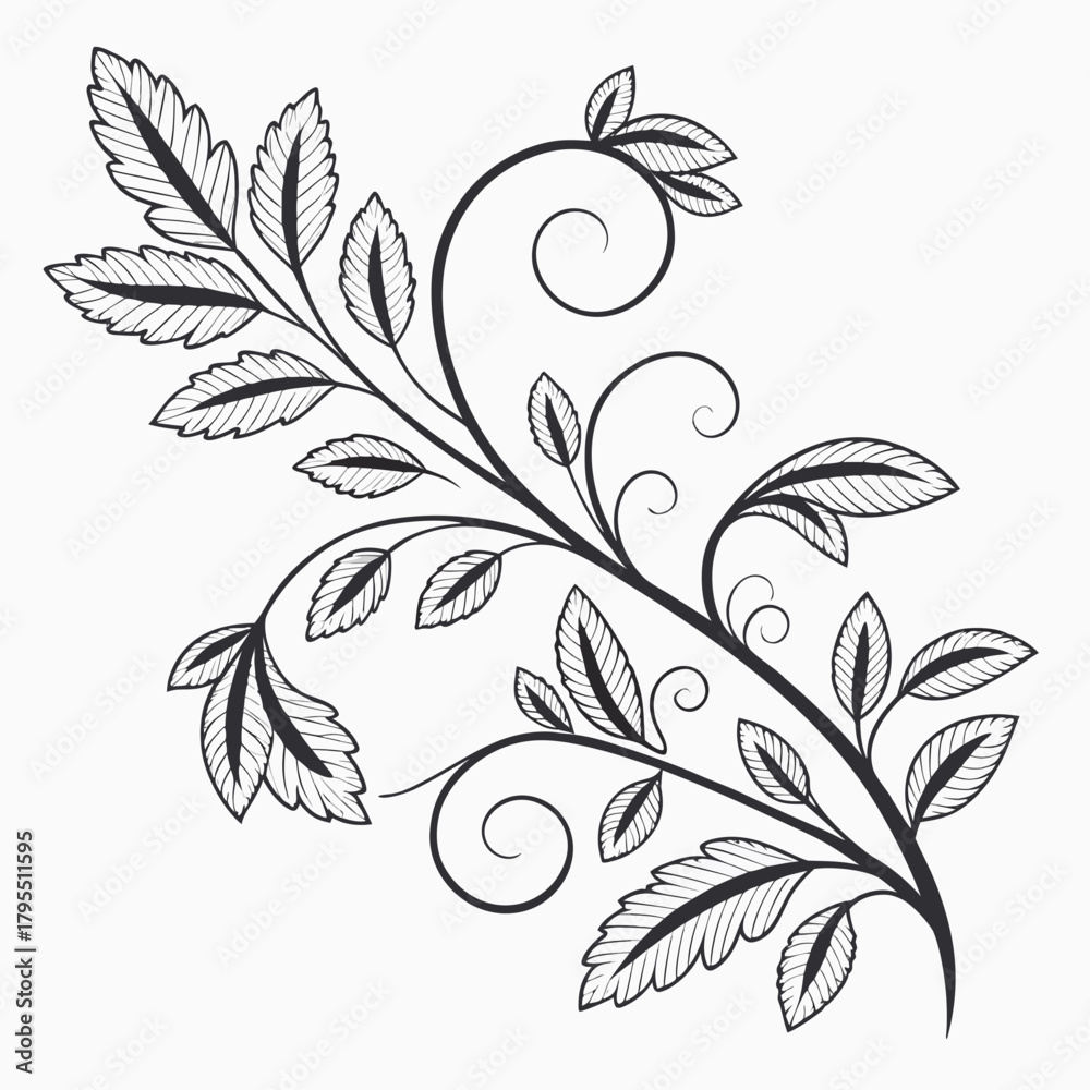 Obraz premium Elegant black and white line art illustration of a swirling vine with detailed leaves and delicate curls on a white background