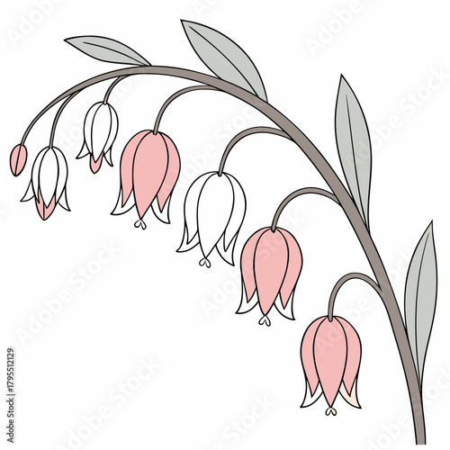 Delicate pink and white bell shaped flowers with green leaves on a curving branch against a white background