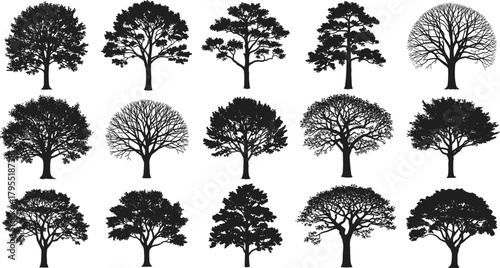 Tree silhouette grid, black illustration, diverse tree shapes, nature structure, botanical reference, artistic design, foliage texture, seasonal forms, landscape element