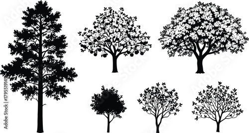 Tree silhouette set, black illustration, diverse tree shapes, botanical reference, nature design, foliage texture, seasonal trees, landscape element, graphic trees