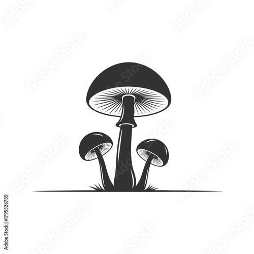 Stylized illustration of three mushrooms, one large and two small, with detailed gills
