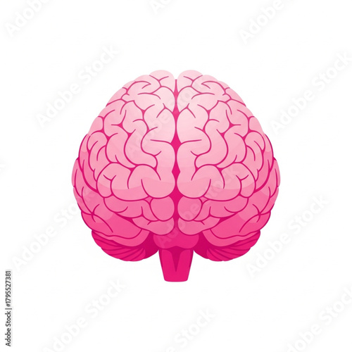 Human brain vector illustration isolated