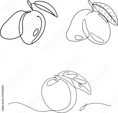 Continuous line drawing illustration of mango fruit with leaves