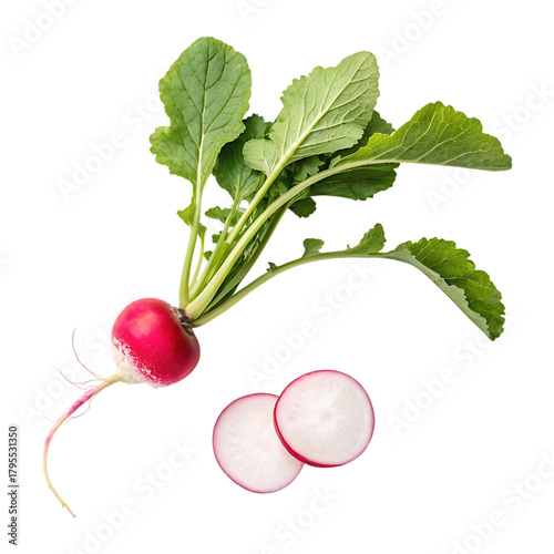 Radish vegetables image isolated on a transparent background