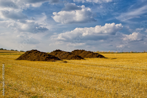 a harvested wheat field with three large brown piles of compost in the sunlight