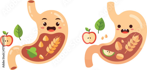 Cartoon Stomach Digesting Healthy Foods Flat Vector Illustration