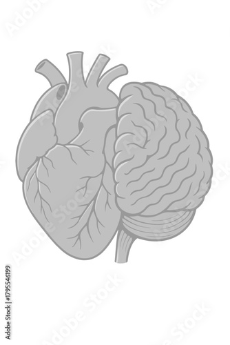 Heart and Brain Connection Concept Illustration Emotional Intelligence Design