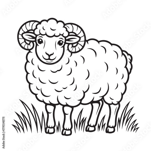 Sheap black and white silhouette