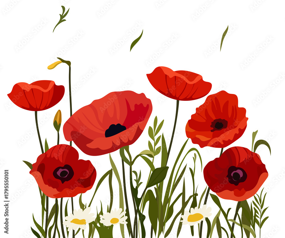 Obraz premium Vibrant red poppies and daisies on black background
