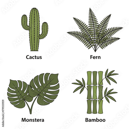 Cactus, fern, monstera and bamboo icons isolated on