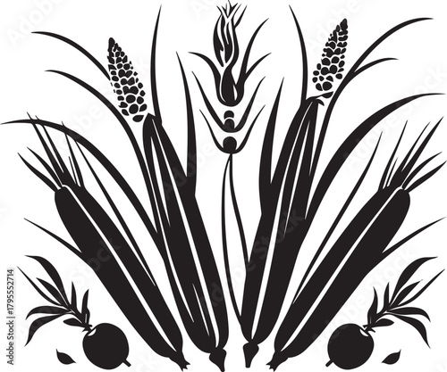 Black and white silhouette corn stalk vector vegetable 