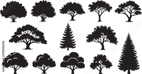 Assortment of Black Tree Silhouettes in Various Styles nature plant