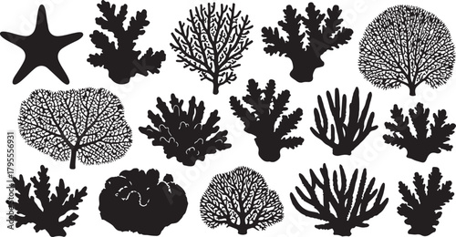 Fifteen black silhouette icons of starfish and various coral formations vector illustration