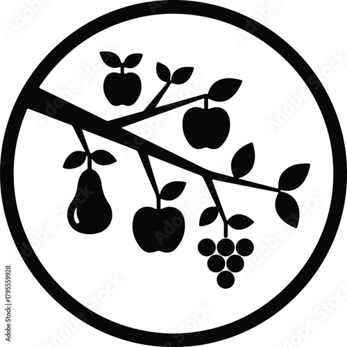 Illustrator Fruit tree branch with apples pear and grapes Silhouette vector