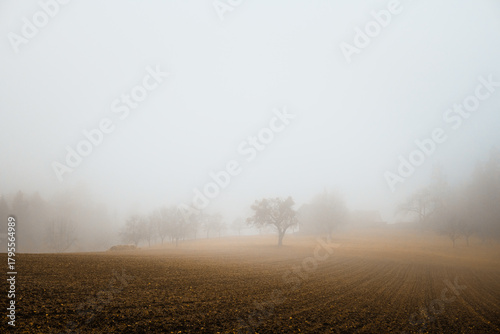 Foggy landscape in autumn, country side