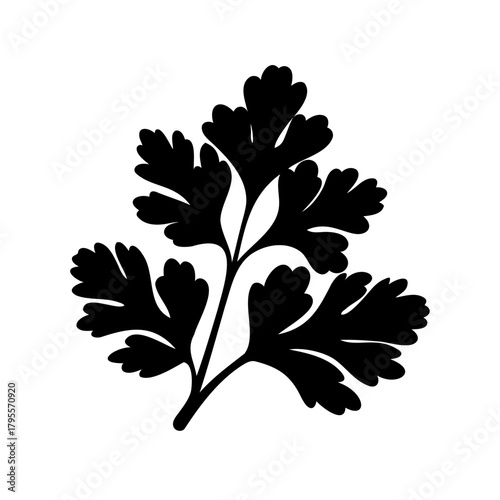 Parsley leaf silhouette vector icon, fresh herb ingredient Vector, illustration
