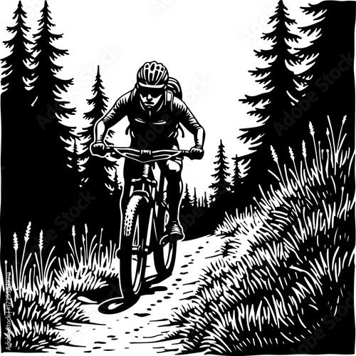 Mountain Biker in Forest Silhouette