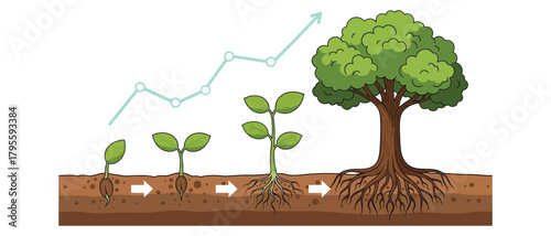 Seedling growth stages to a tree with an upward trending graph showing business growth