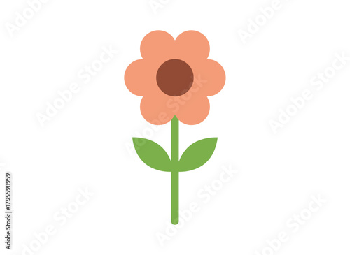 Zinnia, a flowering plant, features blossoms, stems, and leaves; its summer garden blooms with delicate petals and foliage, creating a spring natural decoration, and this botanical illustration is a
