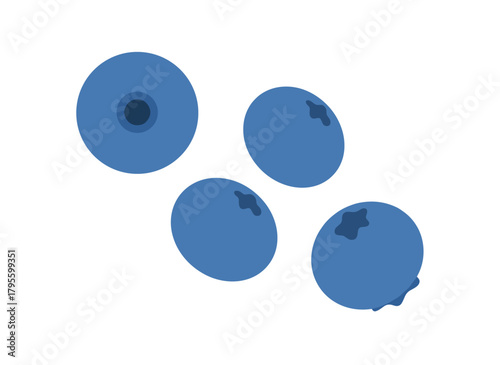 Set of blueberries and bilberries, fresh blue berries that are naturally organic forest fruits, a healthy snack, vitamin-rich food for summer, set of whortleberries, and a flat vector illustration