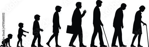 Human life cycle silhouette, growth from baby to elderly stages, aging progression illustration showing development, lifespan timeline and evolution