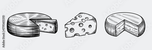 Engraved Style Illustrations of Three Different Types of Cheese food dairy