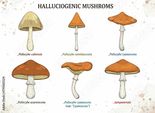 Arrange psychedelic mushrooms; a collection of isolated elements rendered as a vector hand‑drawn illustration