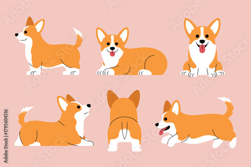 Set of six illustrations of a cute corgi dog in various poses on a pink background puppy
