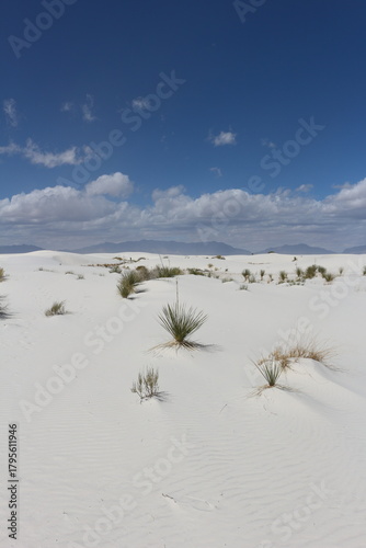 White sand dunes 