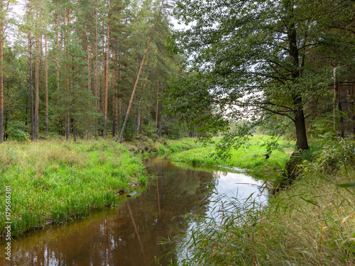 River with a tree in the background