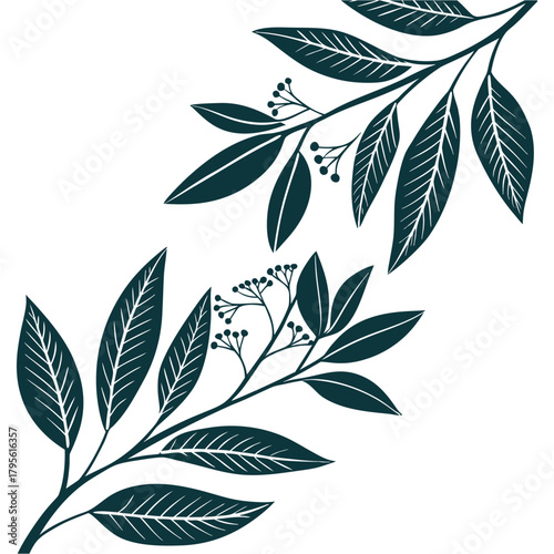Elegant botanical leaf illustration with detailed branches creates a refined natural design. Dark teal foliage adds sophistication and artistic charm. Perfect for prints, branding, decor, and modern c