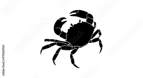 Silhouette of a crab with large claws and multiple legs on a white background in a simple vector style