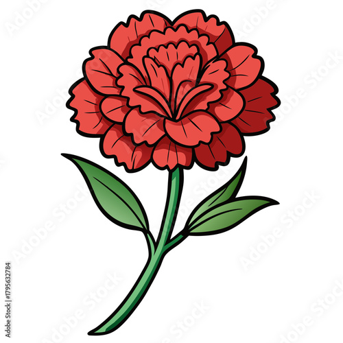 Beautiful red carnation flower drawing illustration vector for design and decoration ideas