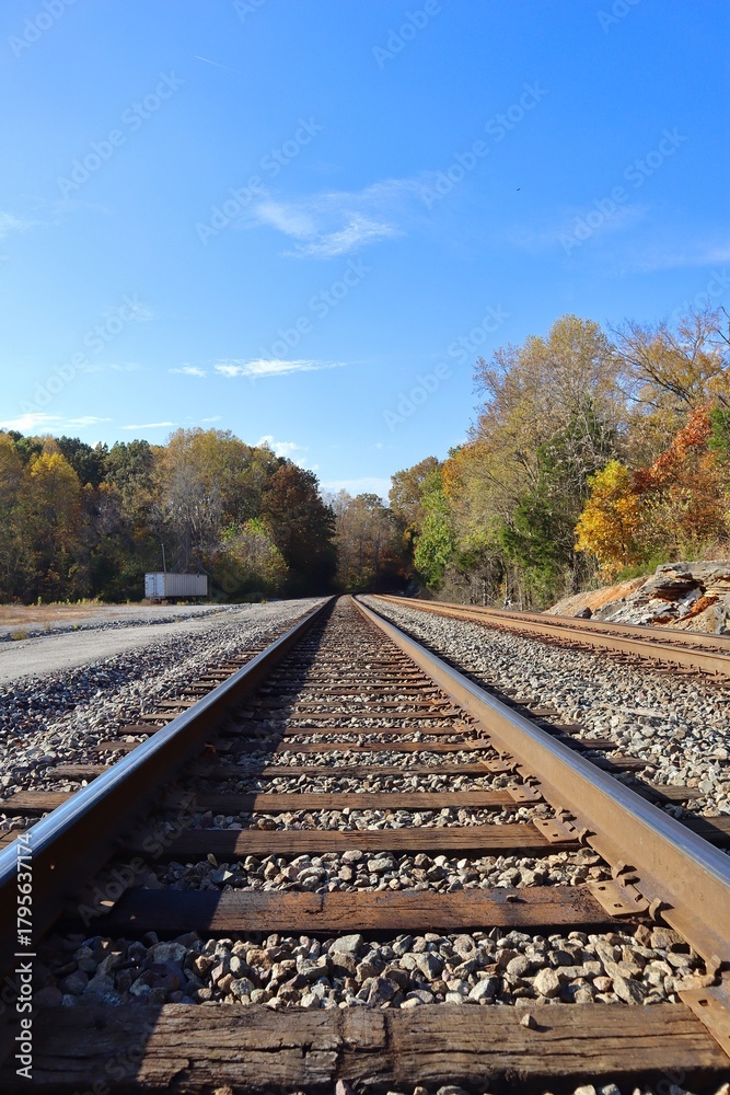 Fototapeta premium railway in the autumn