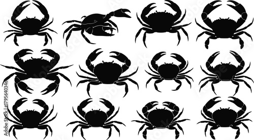 crab, silhouette, icon, vector, black, marine, sea, ocean, animal, claws, shell, aquatic, creature, outline, design
