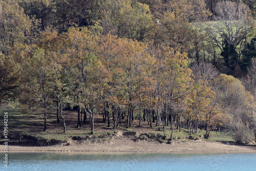 Autumn Foliage on Lakeside Shoreline with Floating Buoys on Calm Water