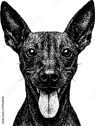Xoloitzcuintli retro xerography engraving portrait with smooth hairless skin and upright ears, isolated on transparent background.